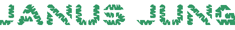 Janus_Jung_23260.gif (3885 Byte)